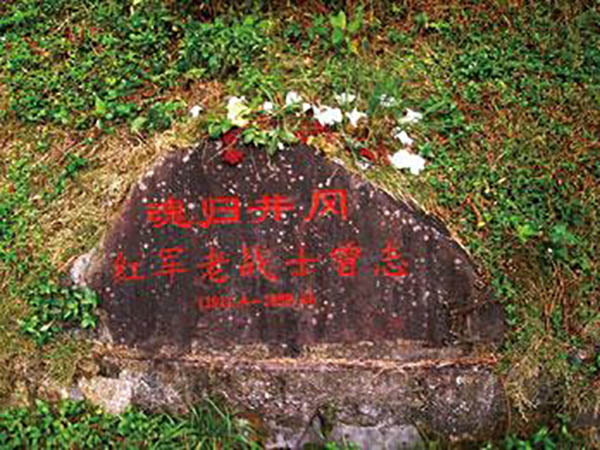 曾志魂归井冈
