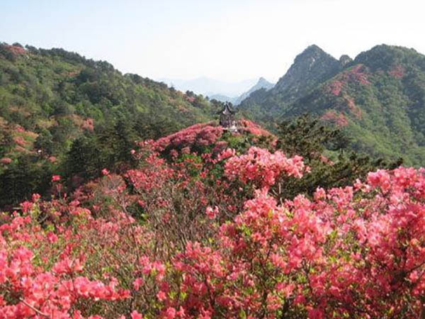 杜鹃山与行洲红军标语群
